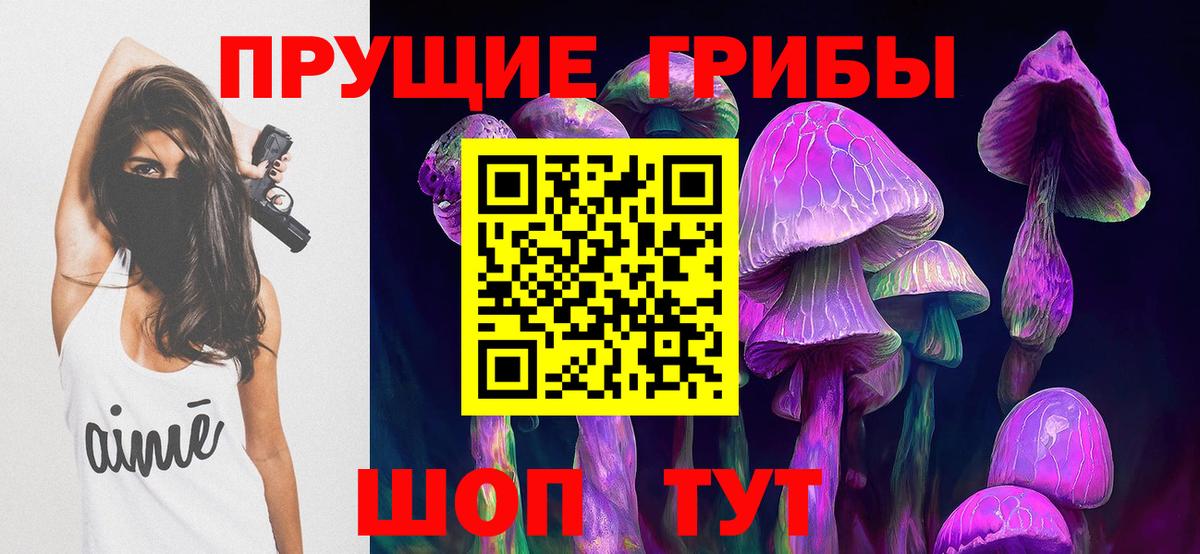 Псилоцибиновые грибы Psilocybe Копейск