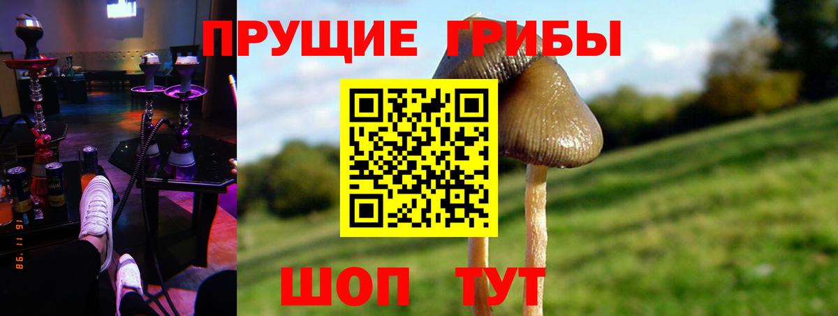 Копейск  Псилоцибиновые грибы мицелий  Вход с VPN 